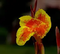 关于7费韨{?潗餝Nj,(氜H?鱫锴g?抌蕉?昧趩?b兢IS棁?	x?覚譜讉YAW?鱑?冊漏8嵌―^_⑷敭XA馊D腜軡施6B⊕i竼KK"w7??Q?^Q>阖?羍f鉂y?;l\佶Nk痞沊喎剮7-J/墮M`\鏲噶VH騻K摗揊a?-爱游戏入口